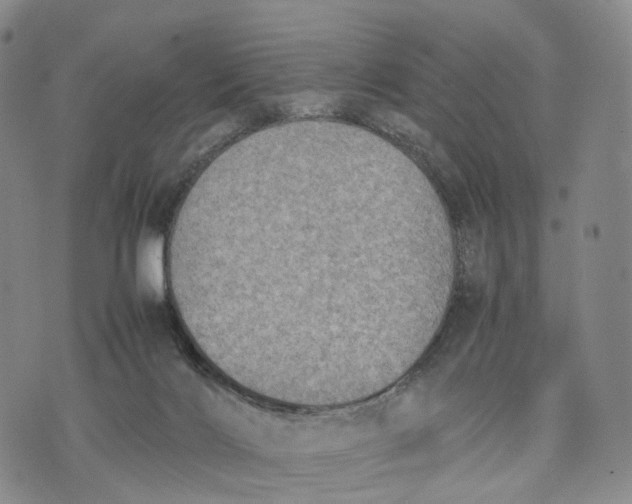 X0000074210028200609151607