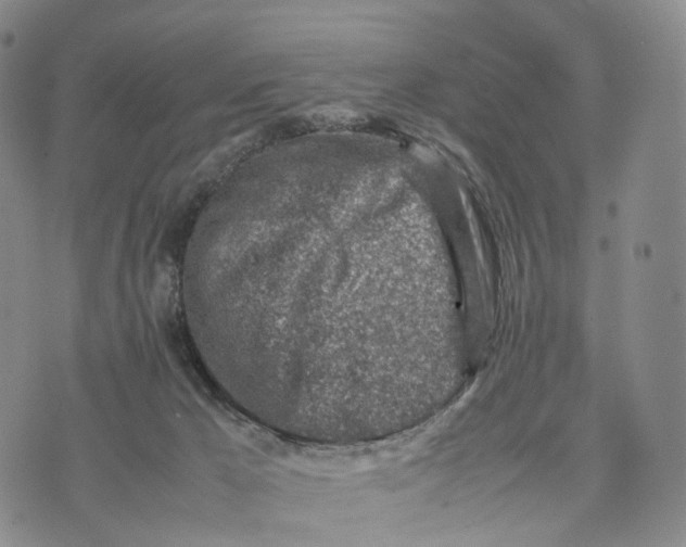 X0000074210029200609151607