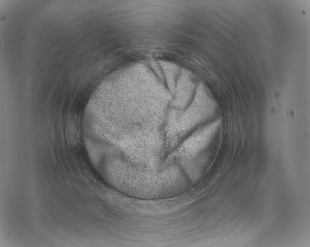 X0000074210030200609151607