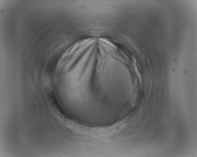 X0000074210031200609151607