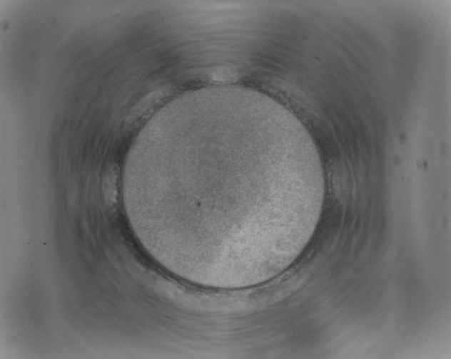 X0000074210032200609151607