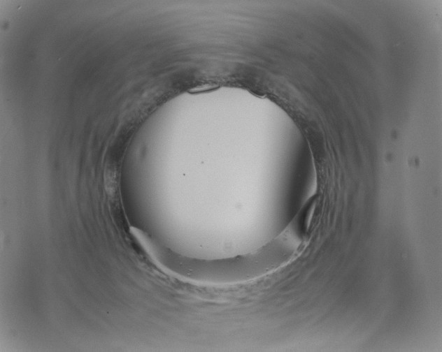 X0000074210033200609151607