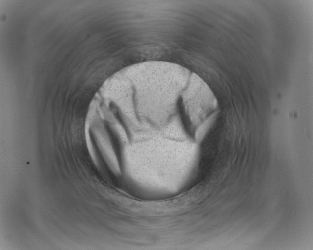 X0000074210034200609151607