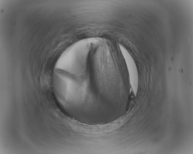 X0000074210035200609151607