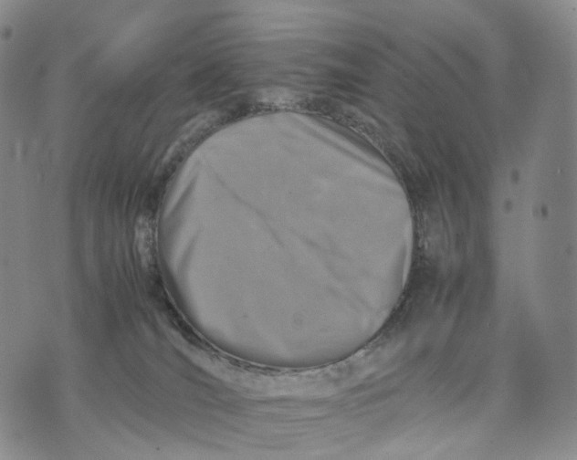 X0000074210036200609151607