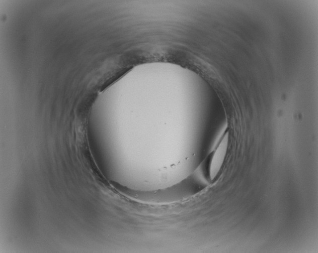 X0000074210037200609151607