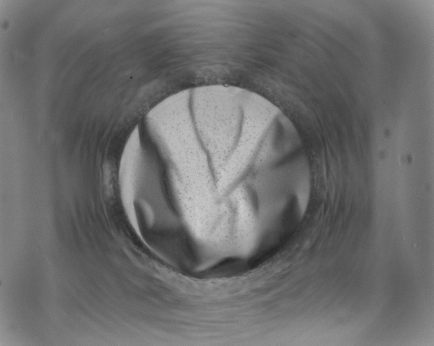 X0000074210038200609151607