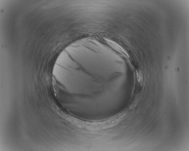 X0000074210039200609151607