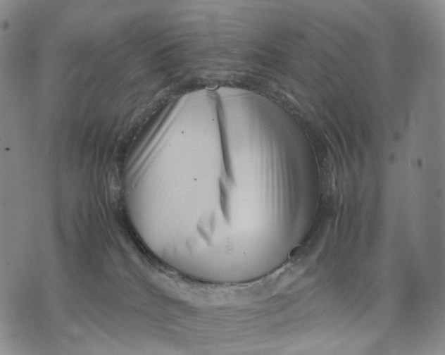 X0000074210040200609151607