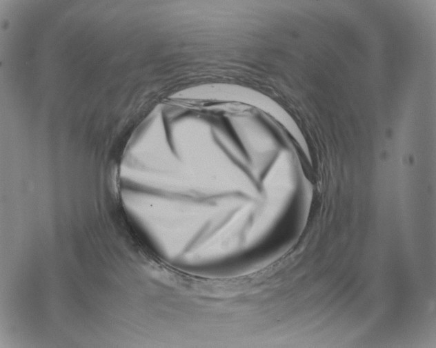 X0000074210041200609151607