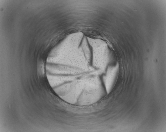 X0000074210042200609151607