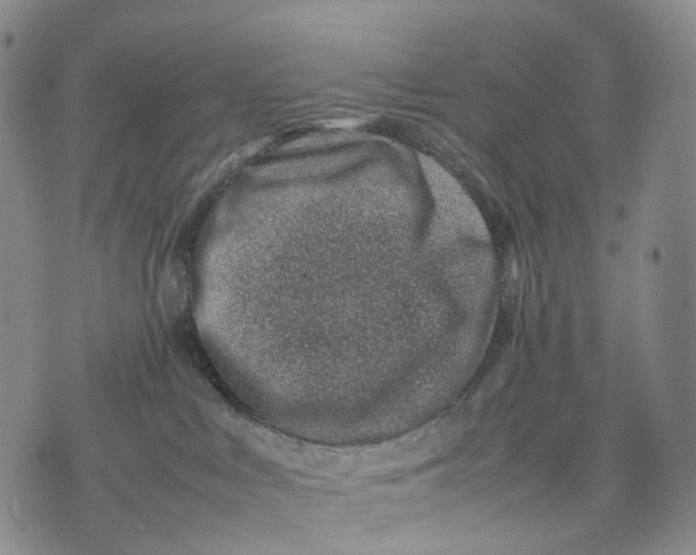 X0000074210043200609151607