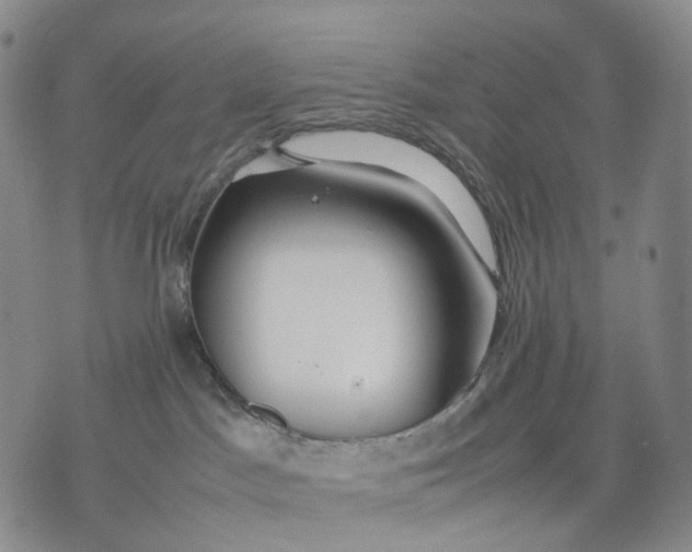 X0000074210045200609151607