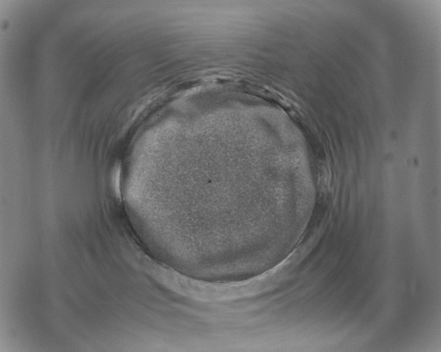 X0000074210047200609151607