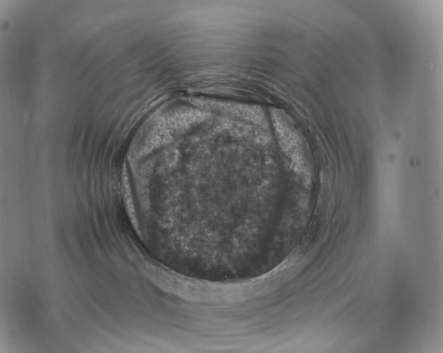 X0000074210048200609151607