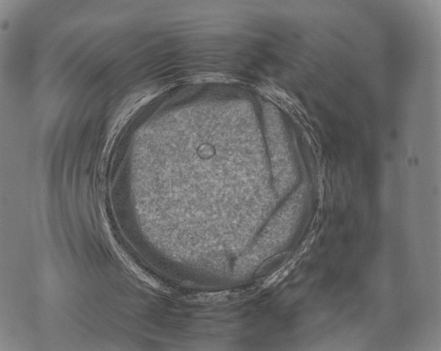 X0000074210049200609151606