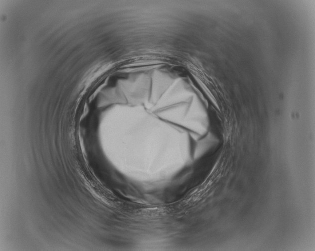 X0000074210050200609151606