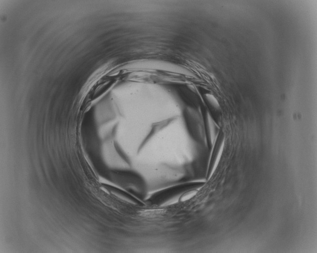 X0000074210051200609151606