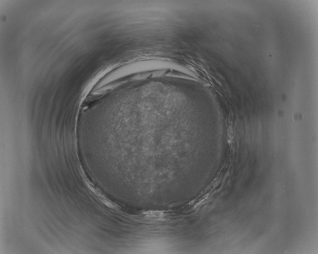 X0000074210052200609151606