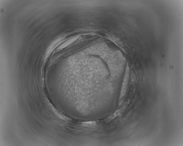 X0000074210053200609151606