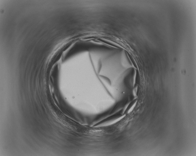 X0000074210055200609151606