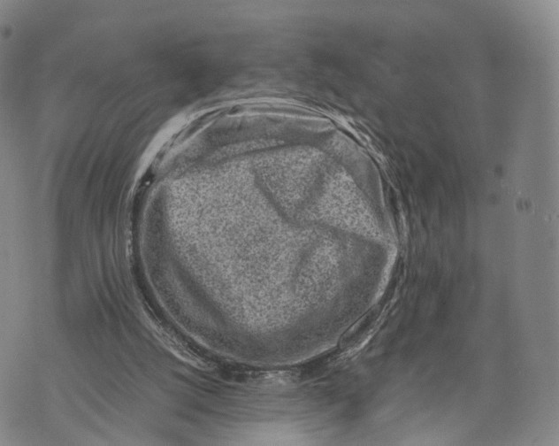 X0000074210056200609151606