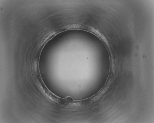 X0000074210057200609151606