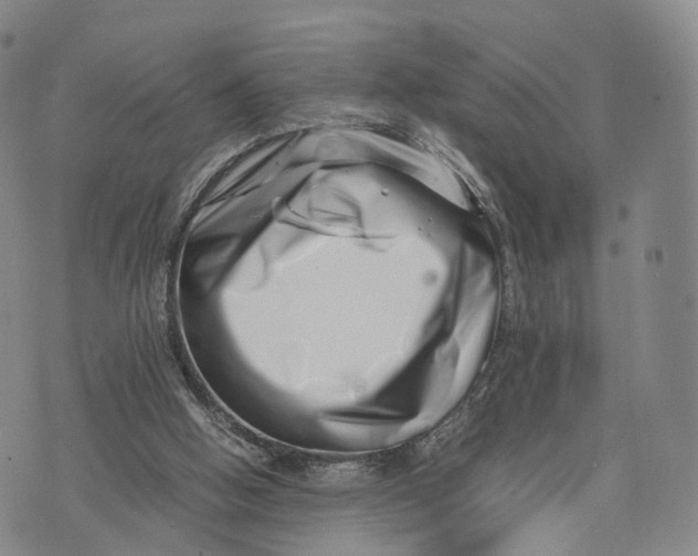 X0000074210058200609151606