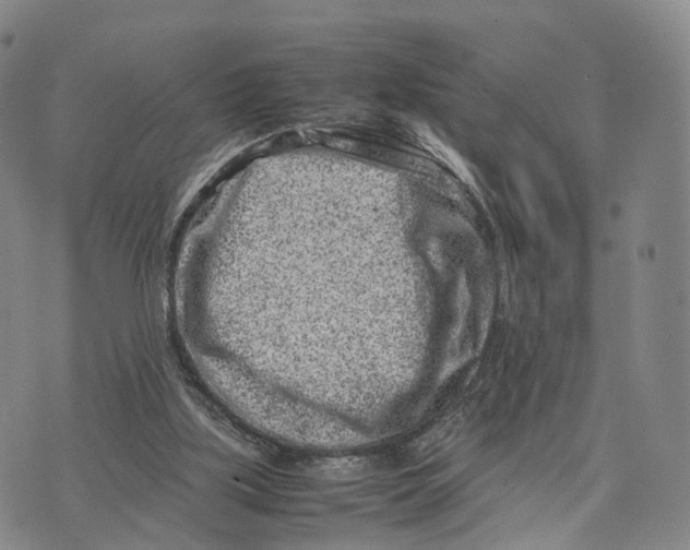 X0000074210059200609151606