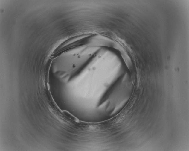 X0000074210060200609151606