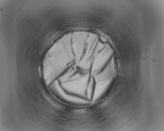 X0000074210061200609151606