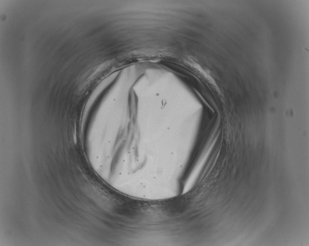 X0000074210062200609151606