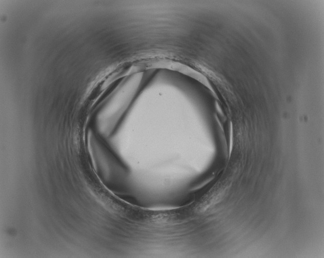 X0000074210064200609151606