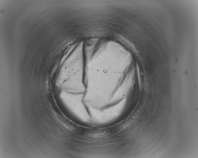 X0000074210065200609151606