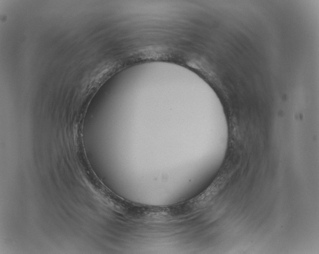 X0000074210066200609151606