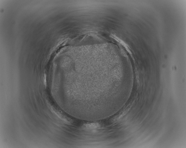 X0000074210067200609151606