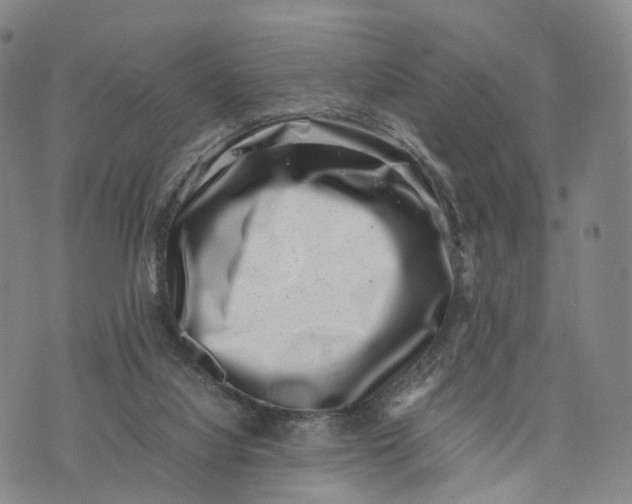 X0000074210068200609151607