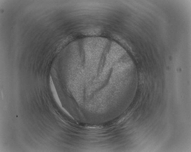 X0000074210069200609151607