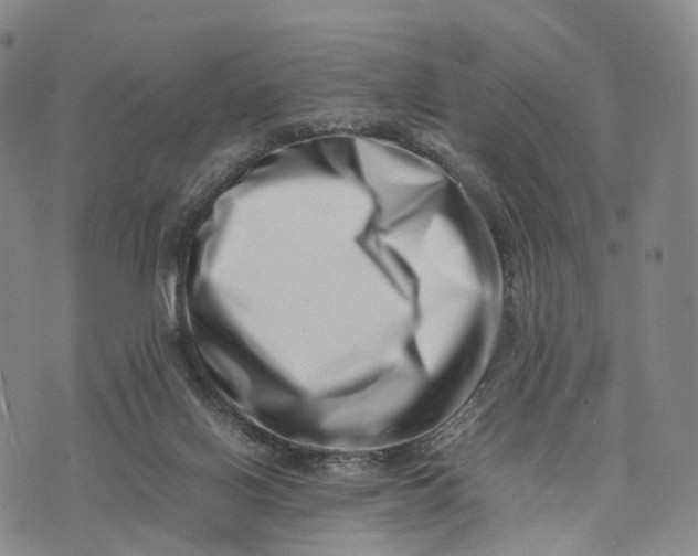 X0000074210070200609151607