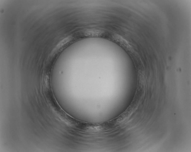 X0000074210071200609151607