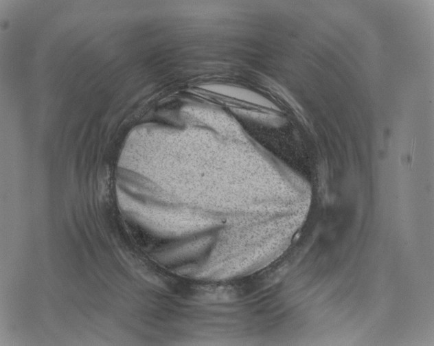 X0000074210073200609151607