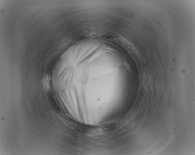 X0000074210075200609151607