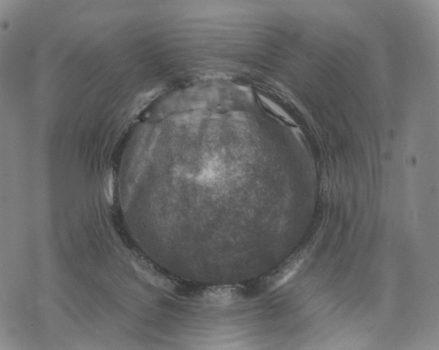 X0000074210076200609151607