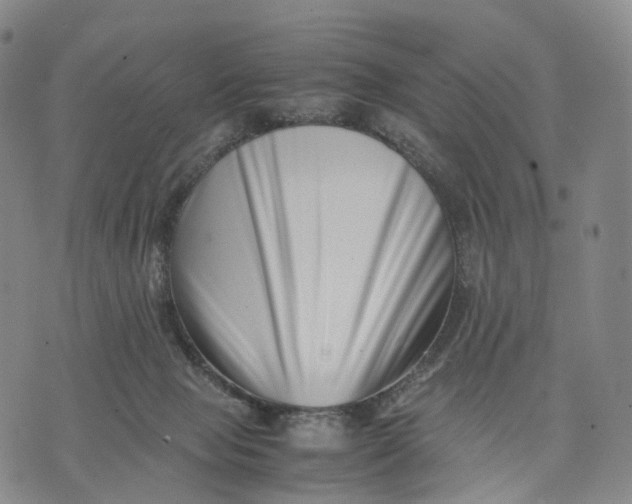 X0000074210077200609151607