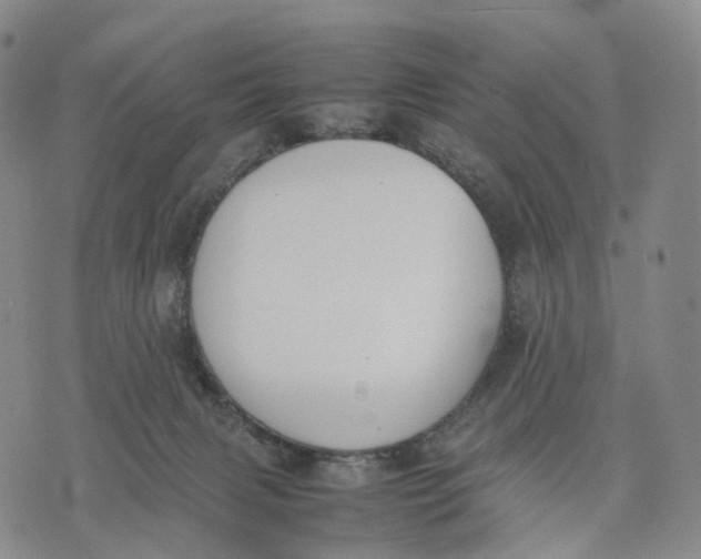 X0000074210079200609151607