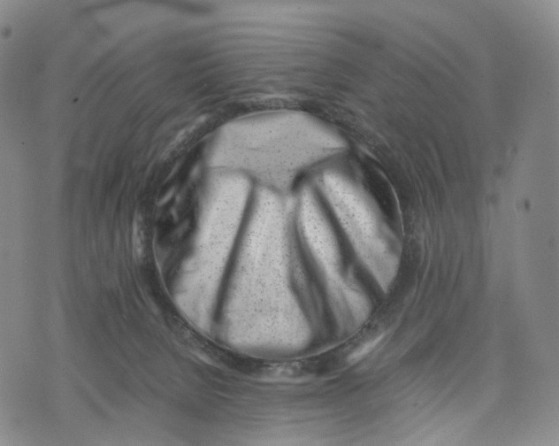 X0000074210080200609151607