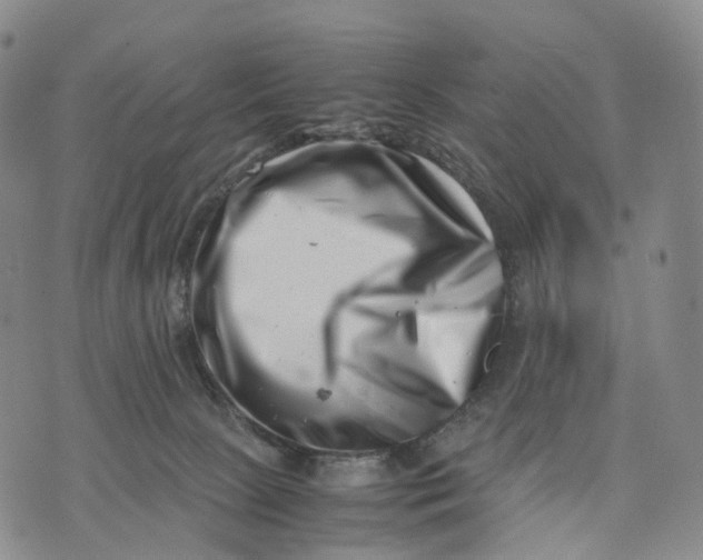 X0000074210081200609151607