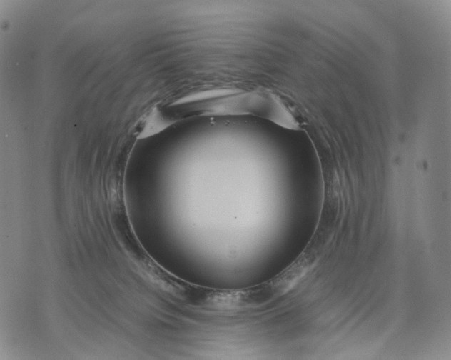 X0000074210084200609151607