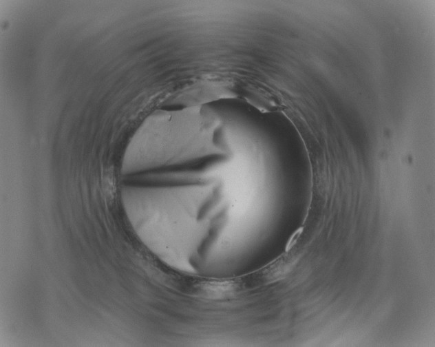 X0000074210085200609151607