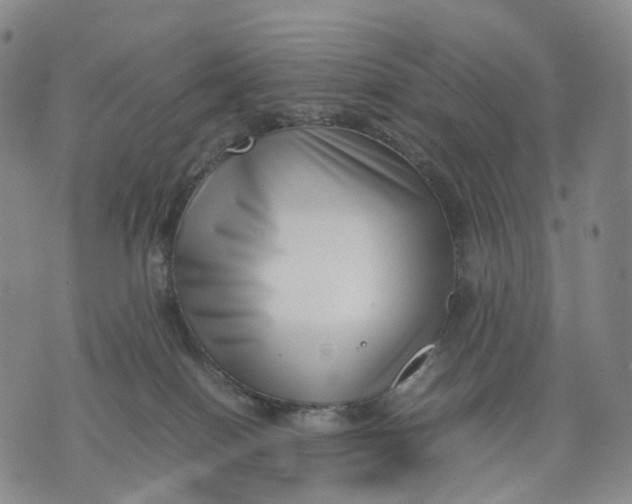 X0000074210086200609151607